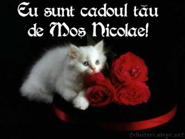 Eu sunt cadoul tau de Mos Nicolae